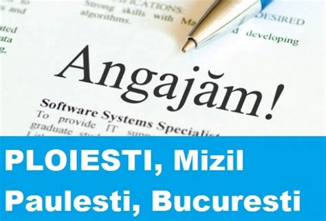 sursa ta locuri de munca pitesti|Locuri de muncă Piteşti